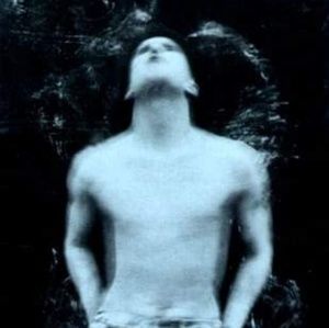 Meet your Posher, Donald